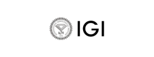 IGI_light_transparent